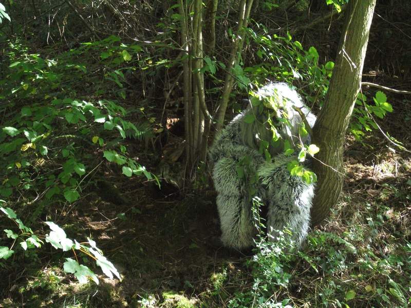 naechstes