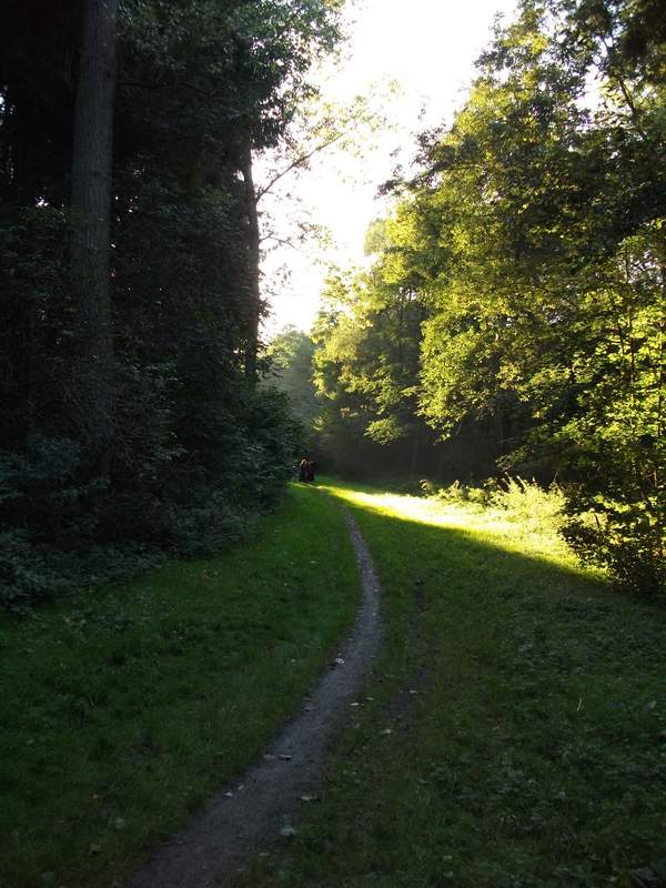 naechstes