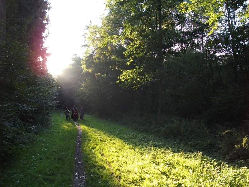 naechstes