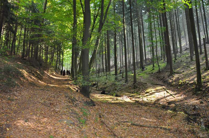 naechstes