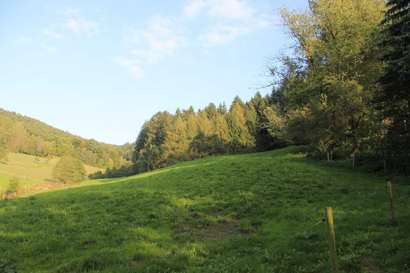 naechstes